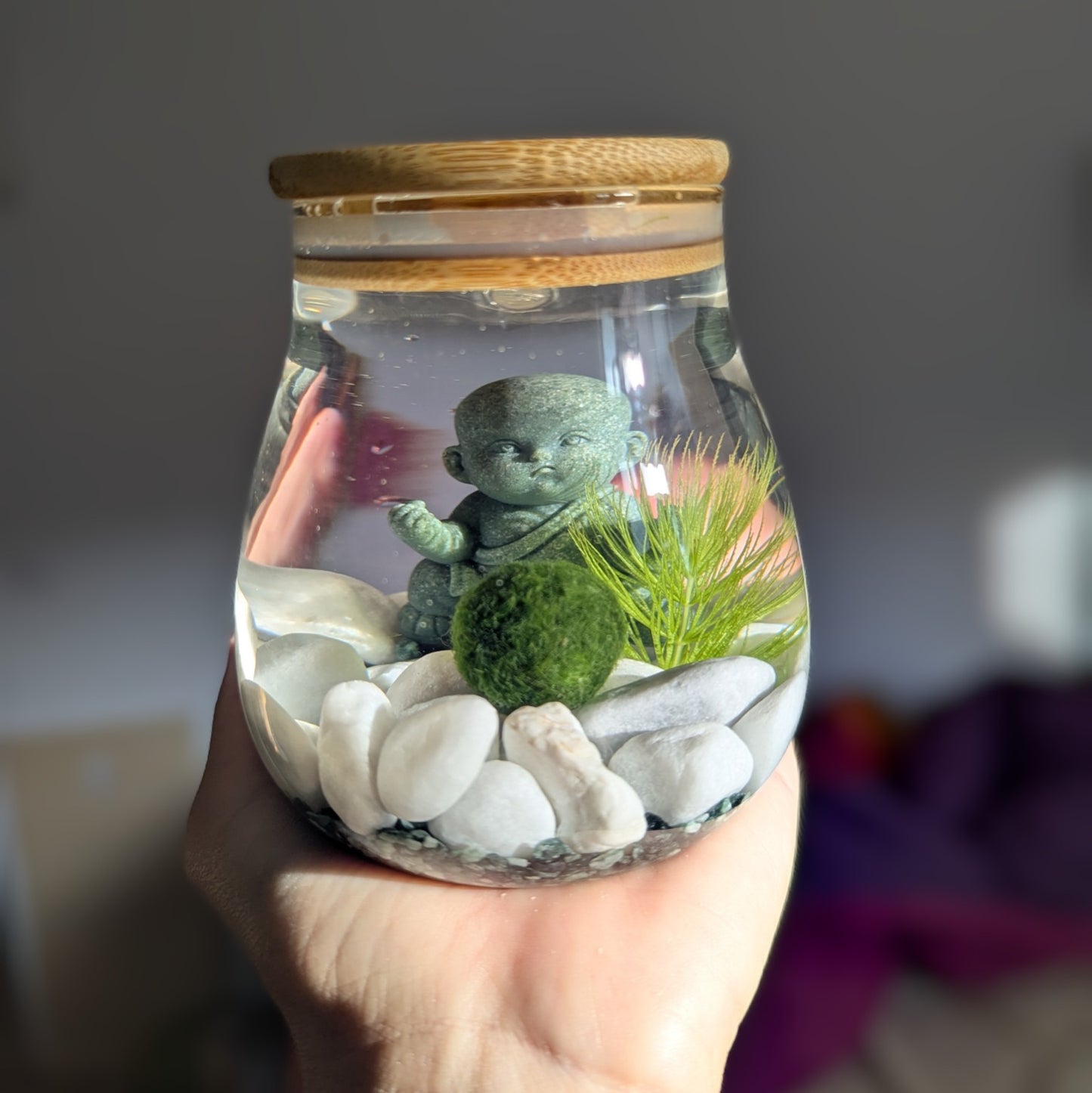 Main tenant un petit bocal en verre rempli d’eau, avec un couvercle en bambou. À l’intérieur, on voit une boule verte de marimo posée sur des galets blancs, une petite figurine verte et une plante aquatique décorative.