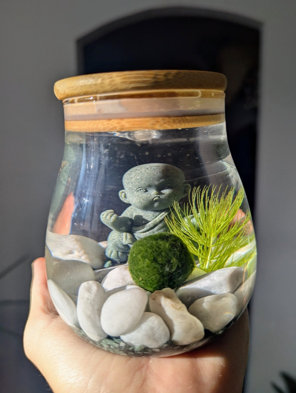 Bocal décoratif en verre avec couvercle en bambou, contenant un marimo authentique (Aegagropila linnaei), une plante aquatique Ceratophyllum demersum, des galets blancs et une figurine zen en pierre, idéal pour une décoration naturelle et apaisante.