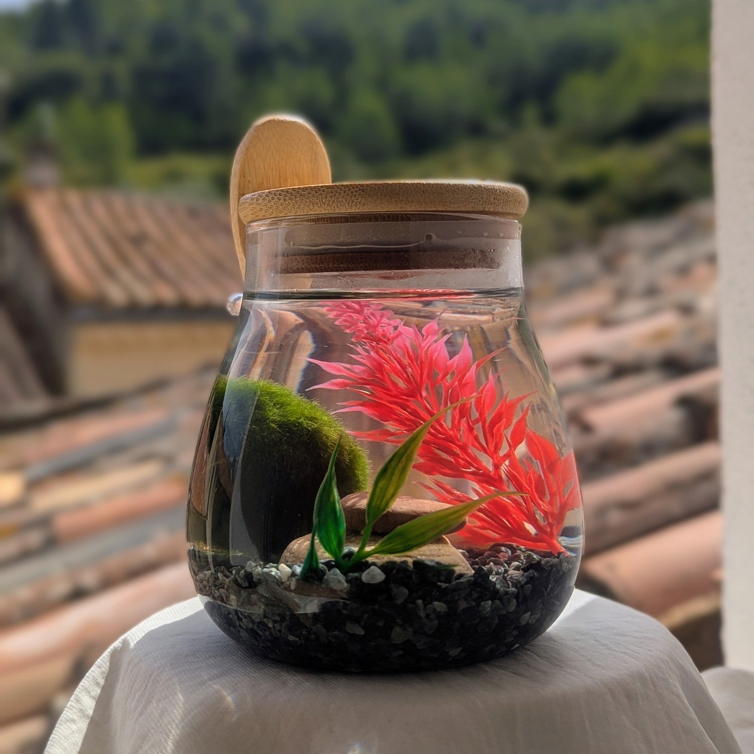 terrarium aquatique style écosphère contenant un Marimo authentique, gravier vert et cuillère en bambou.