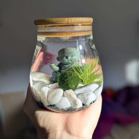 Main tenant un petit bocal en verre rempli d’eau, avec un couvercle en bambou. À l’intérieur, on voit une boule verte de marimo posée sur des galets blancs, une petite figurine verte et une plante aquatique décorative.
